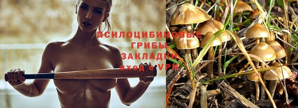 каннабис Алзамай