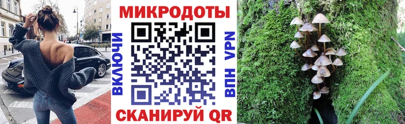 купить  сайты  Кола  Галлюциногенные грибы мицелий 
